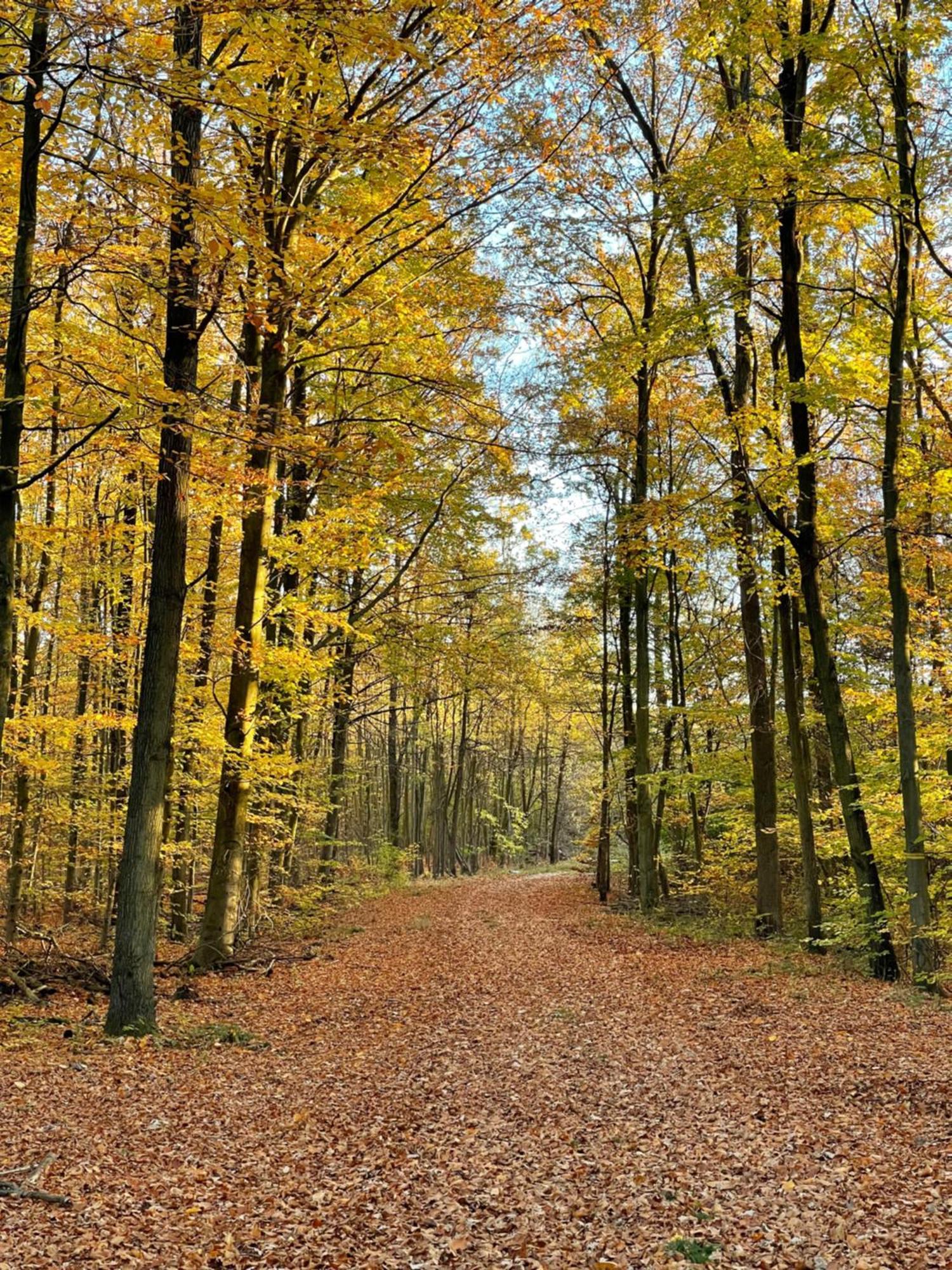 Mein Appartement Huerth Koeln Екстер'єр фото